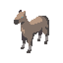 Palomino coat