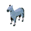 Silver coat