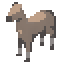 Palomino Coat