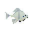 Moonfin