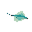 Veil Ray